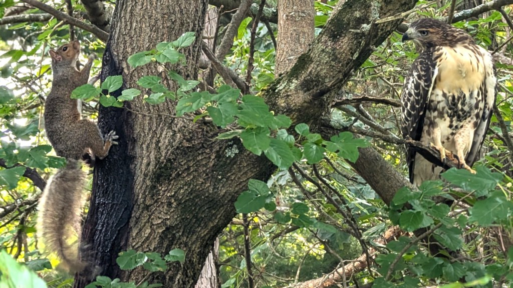 No Thank You, I’m&nbsp;Full