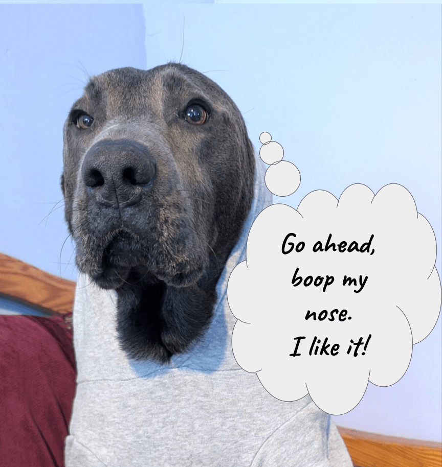 Brrr… I need a good&nbsp;read!