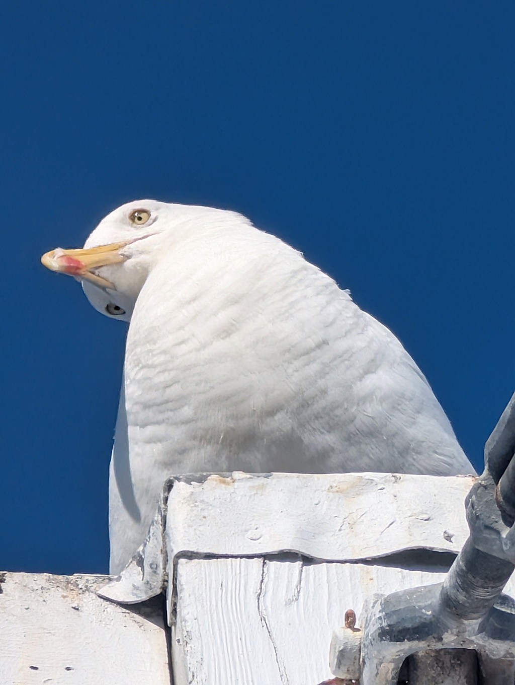 I’ve been quiet. Too&nbsp;quiet.