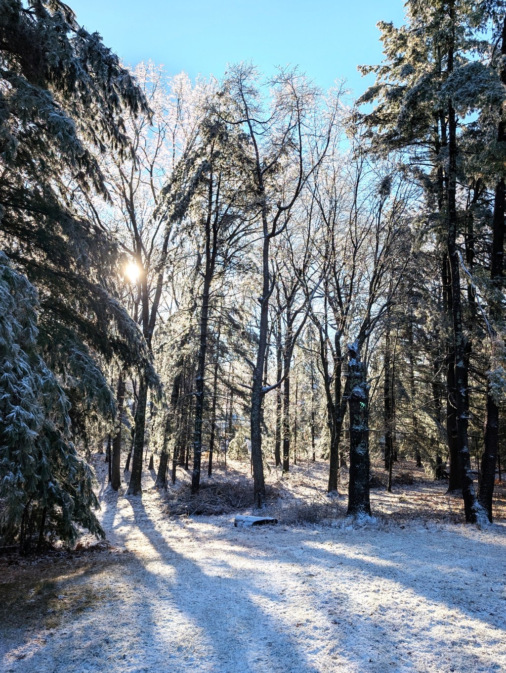 Wronger’s Block: When My Draft Throws a Flag